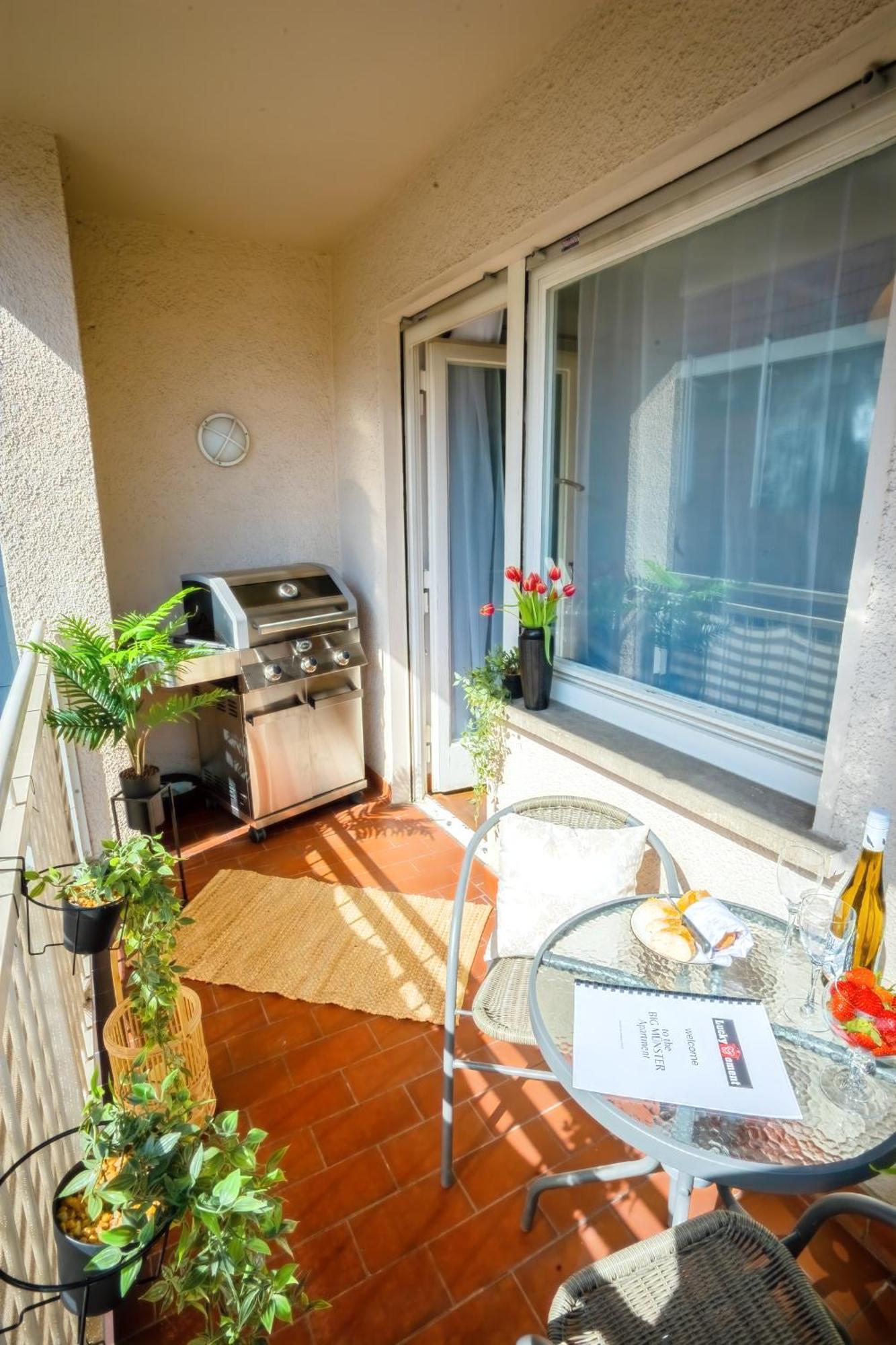 The Big Muenster Fuer Bis Zu 12, Whirlpool, Sauna, Zentral, Tischfussball, Balkon, Gasgrill Ulm Exterior photo